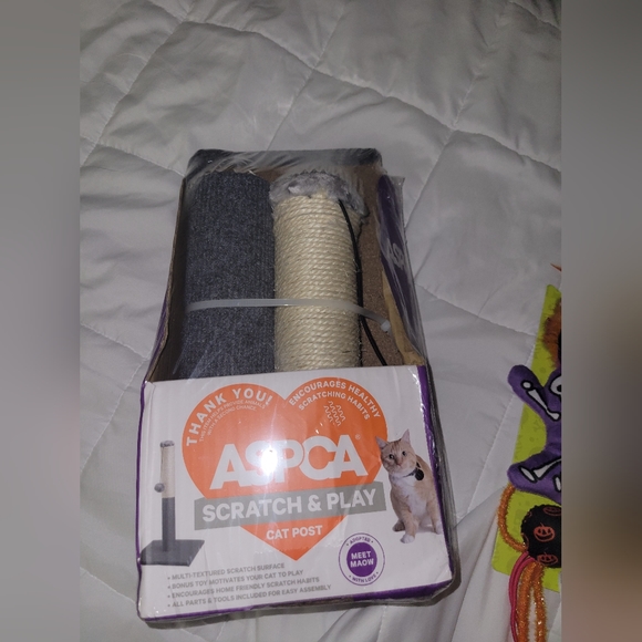 Cat Accessory Bundle - Picture 2 of 6